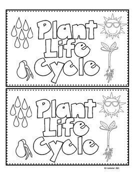 Life Cycle Of A Plant Booklet